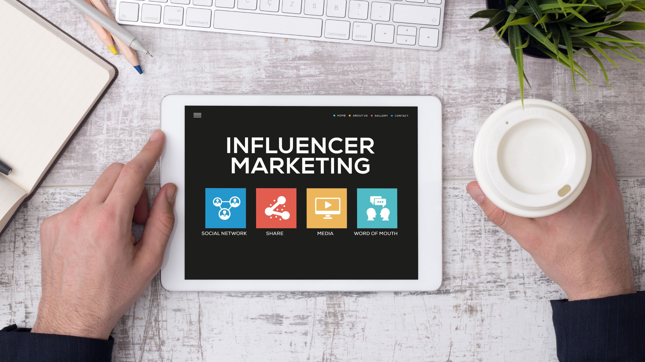 Crypto Influencers