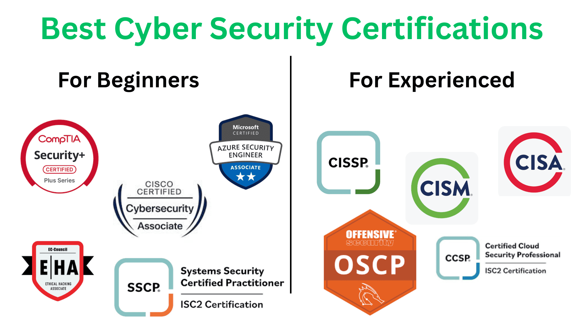 AI security engineer career guide: adapting to model poisoning and adversarial threats