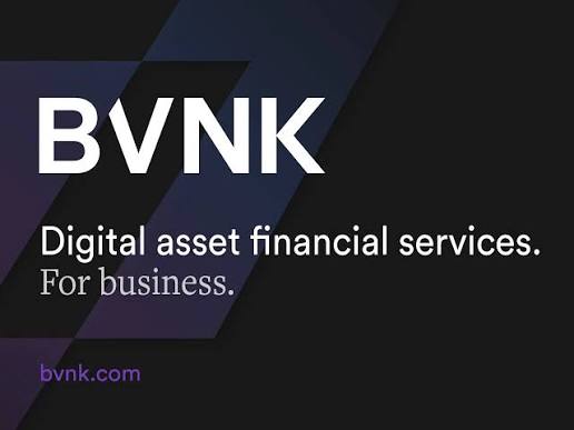BVNK - Top 10 stablecoin infrastructure providers for SaaS companies