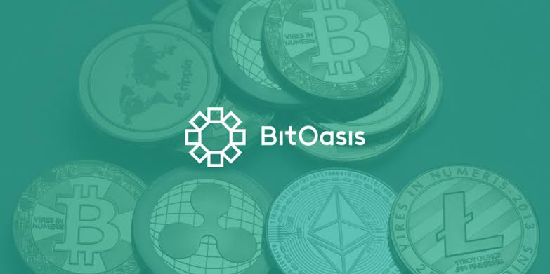 BitOasis - Top 10 blockchain fintech companies in the UAE driving financial innovation