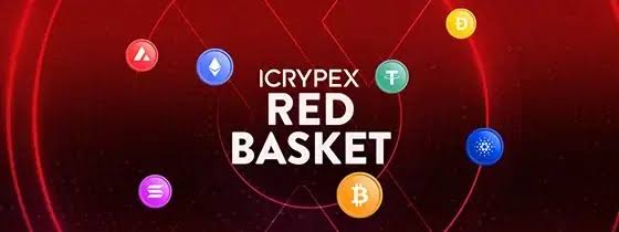 ICRYPEX - Top 10 blockchain companies in Turkey: Istanbul as a crypto hub